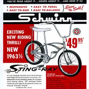 История велосипедов Sting Ray